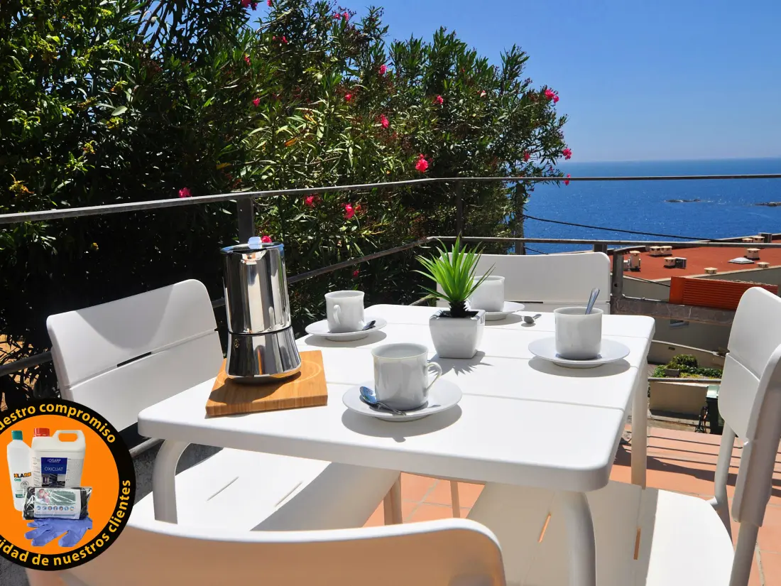 Location de Vacances Roses 948