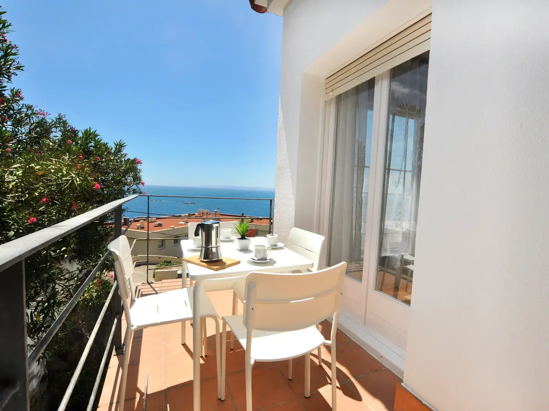 Location de Vacances Roses 948