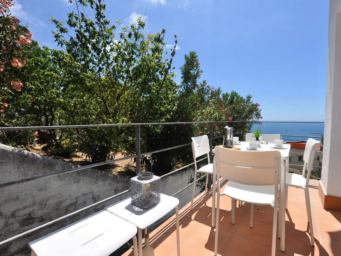 Location de Vacances Roses 948