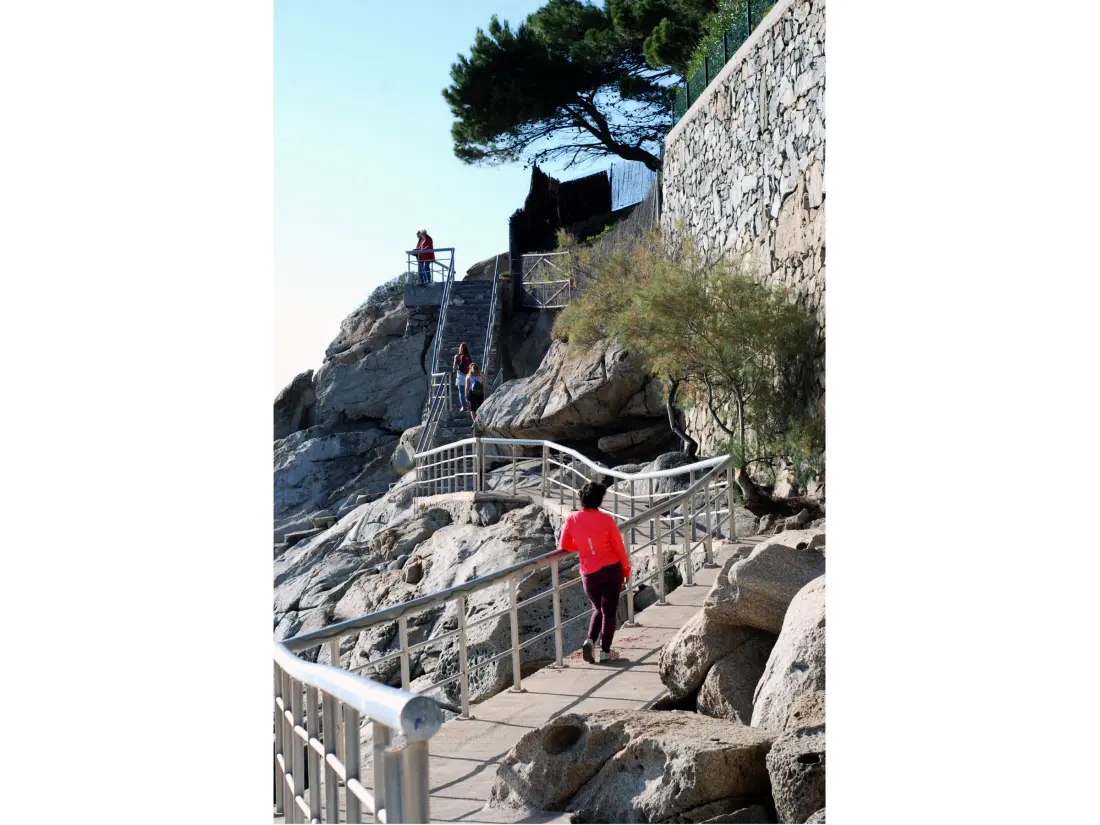 Location de Vacances Roses 948