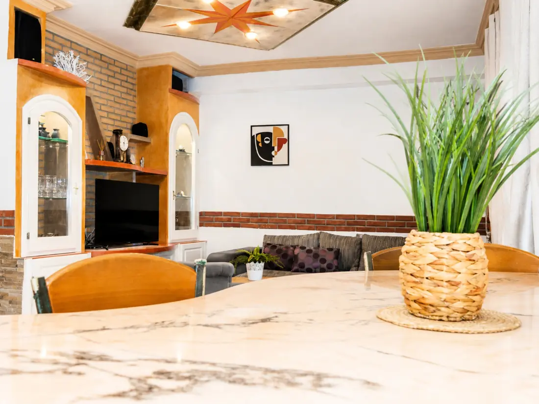 Location de Vacances Roses 950