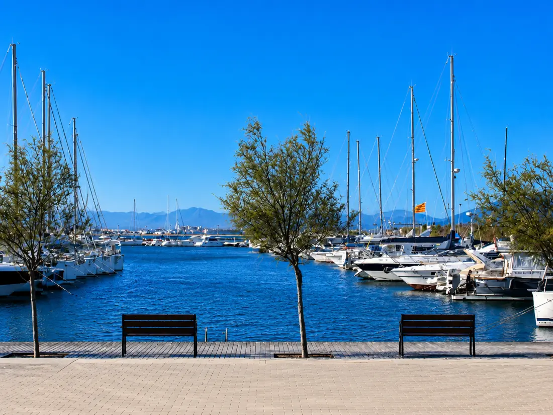 Location de Vacances Roses 950