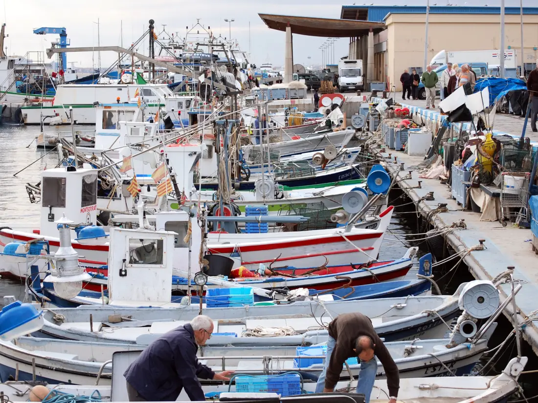 Location de Vacances Roses 953