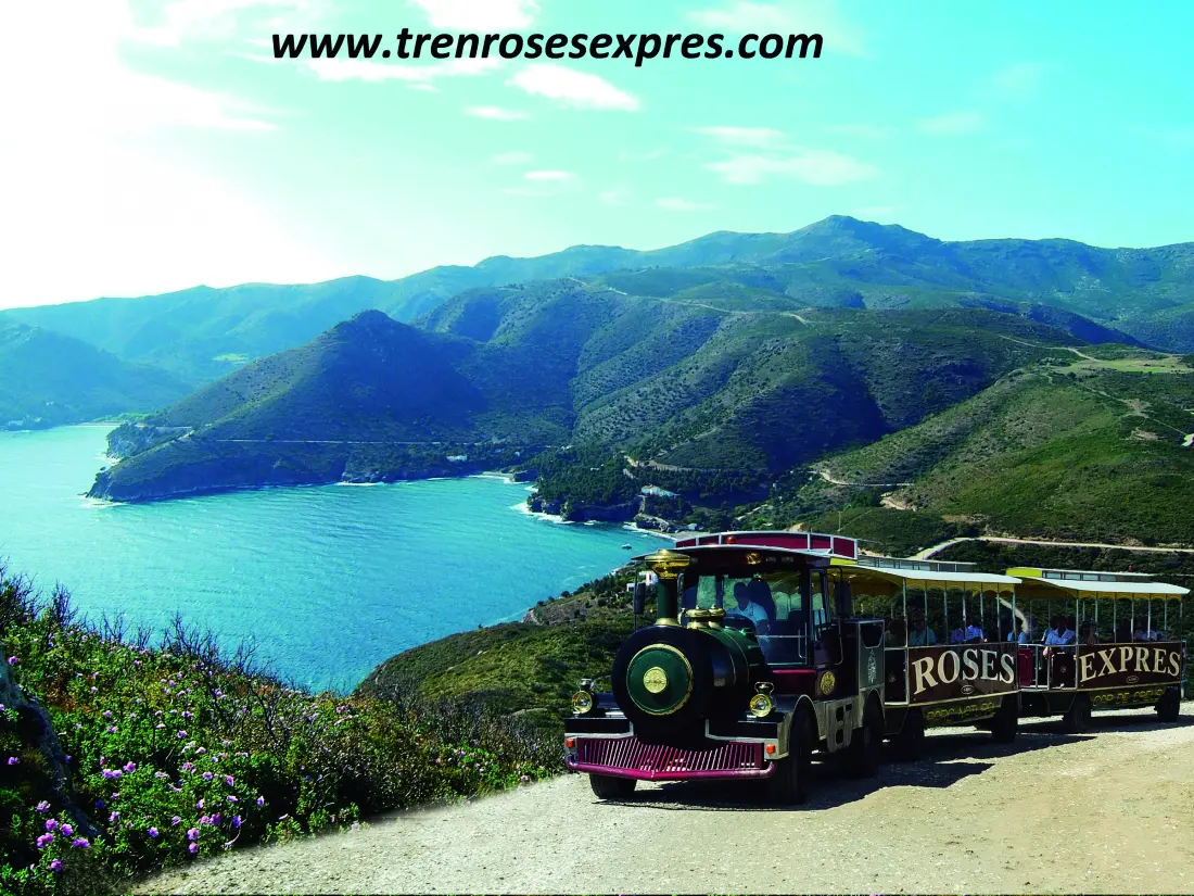 Location de Vacances Roses 953