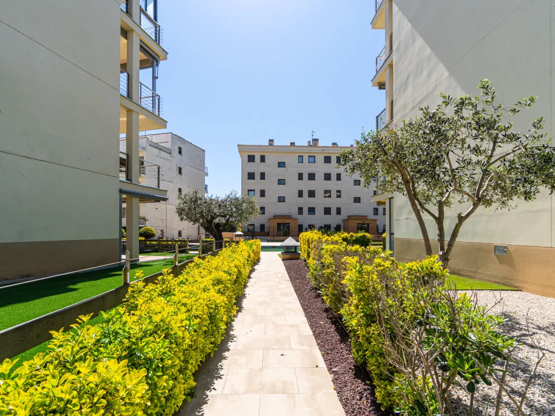 Location de Vacances Roses 954