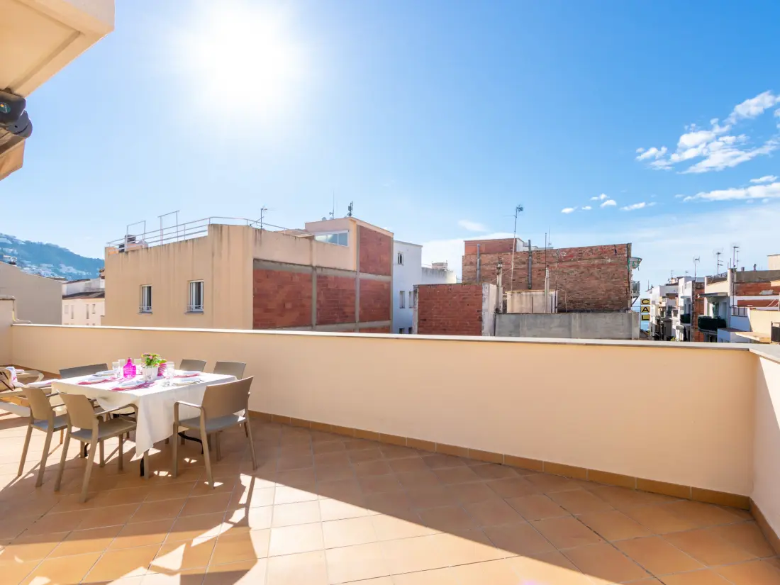Location de Vacances Roses 959