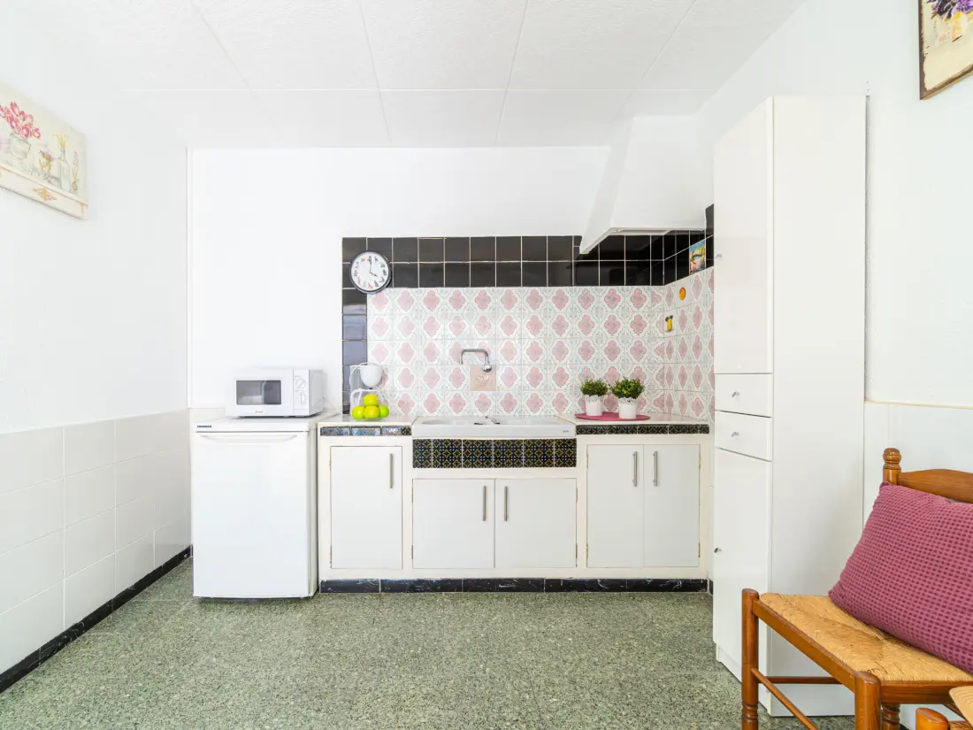 Location de Vacances Roses 960