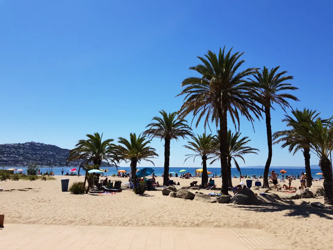 Location de Vacances Roses 960