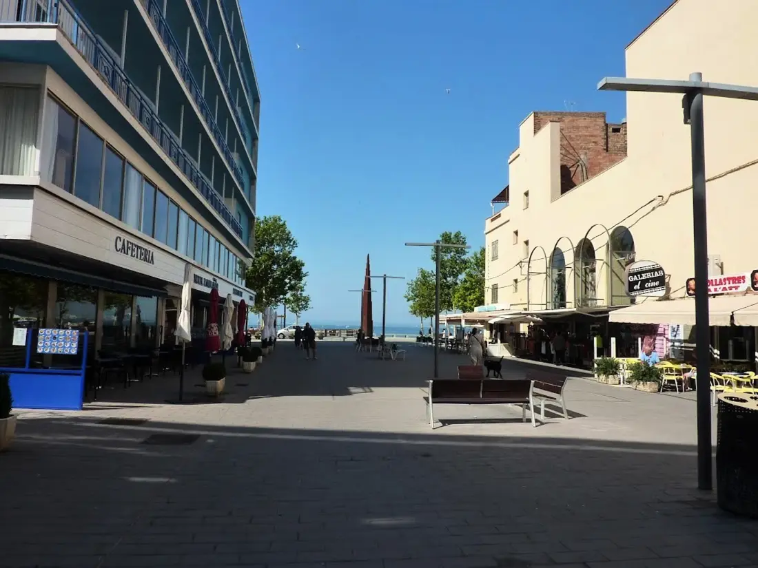 Location de Vacances Roses 960