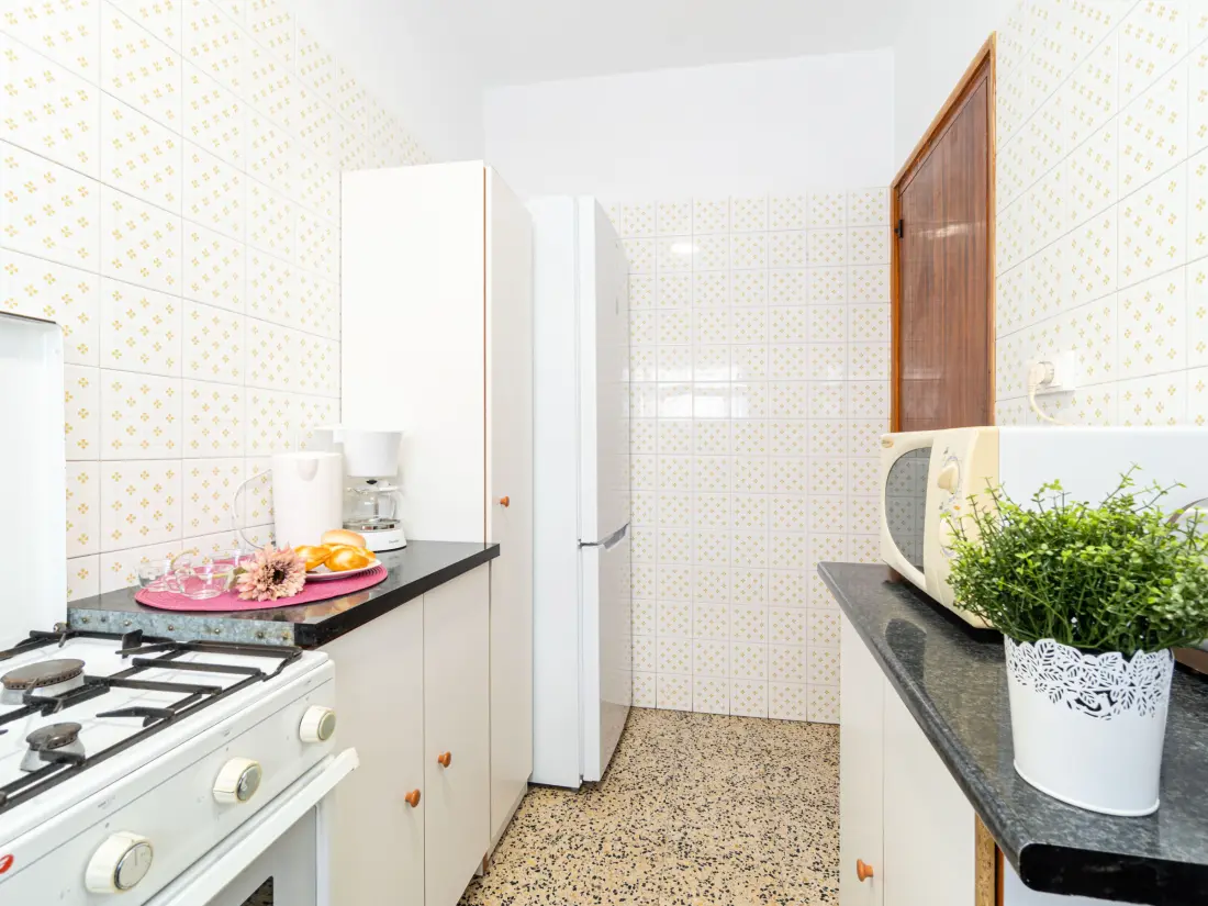 Location de Vacances Roses 960