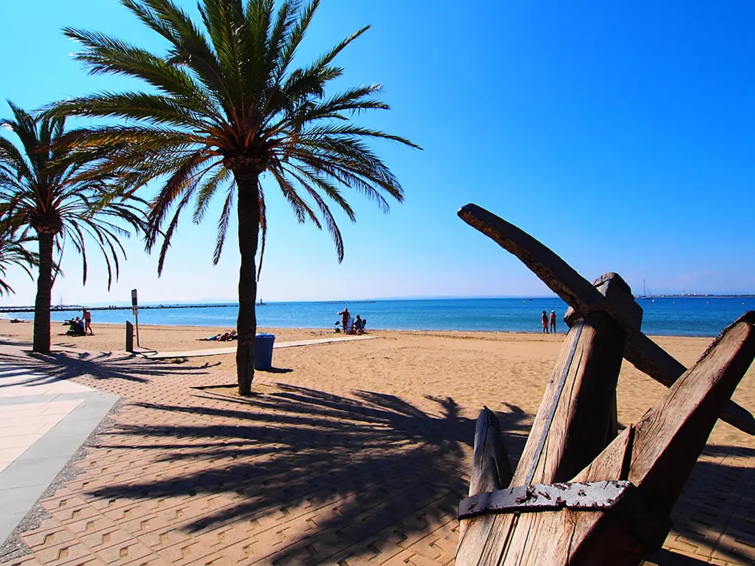 Location de Vacances Roses 961