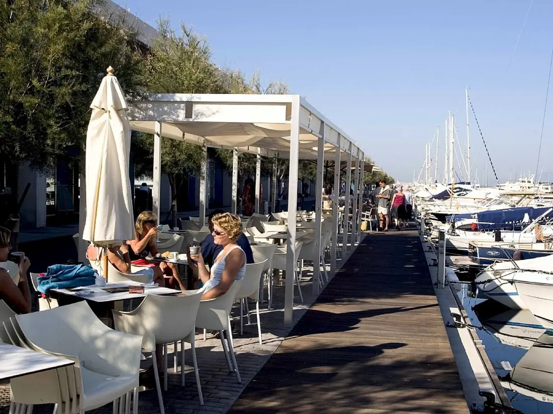 Location de Vacances Roses 963