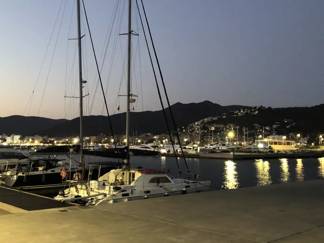 Location de Vacances Roses 963