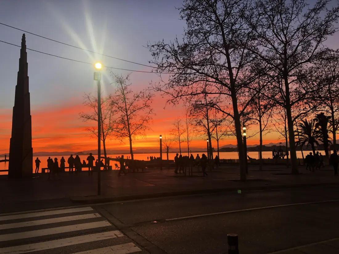 Location de Vacances Roses 963