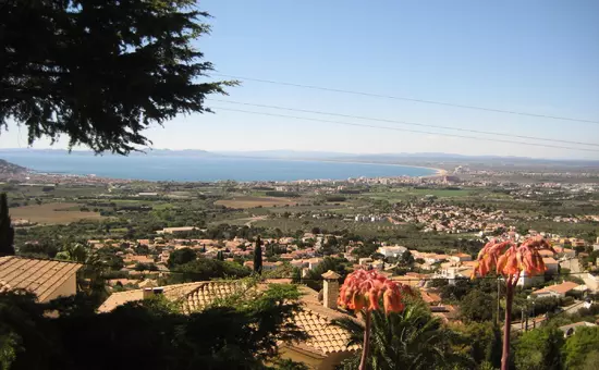 Maison de Vacances Roses 1002