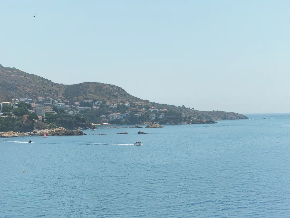 Location de Vacances Roses 1324