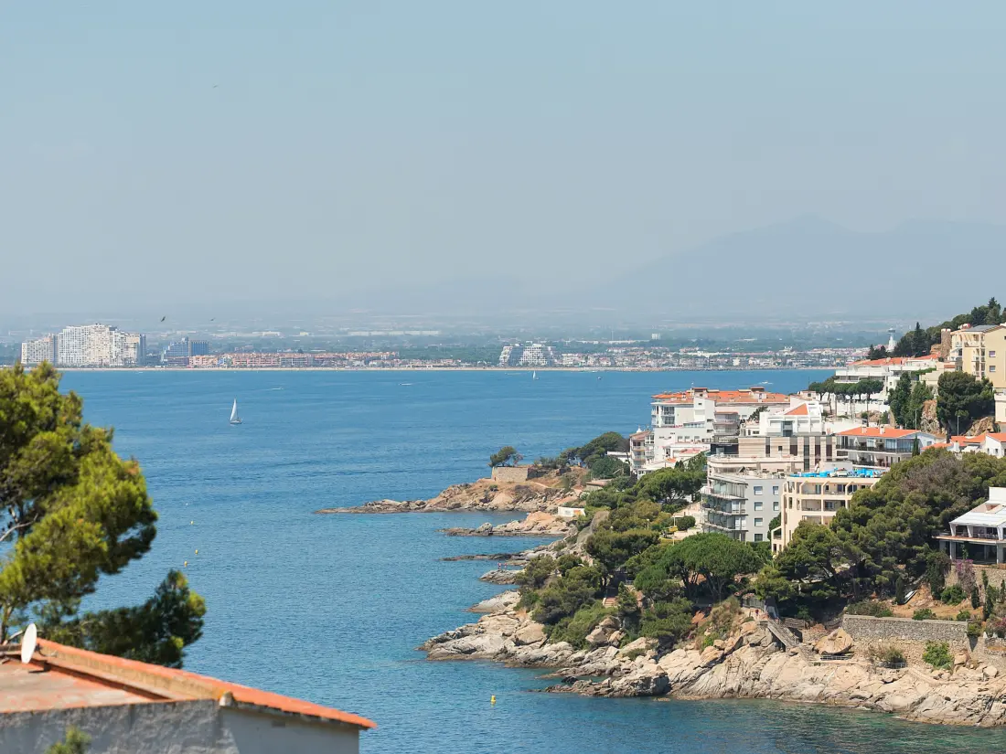 Location de Vacances Roses 1324