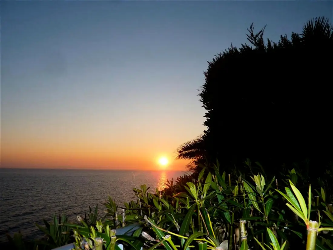 Location de Vacances Roses 682