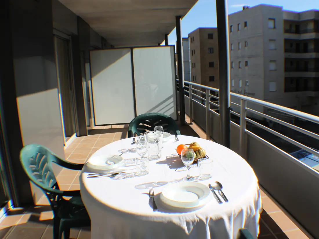 Location de Vacances Roses 704