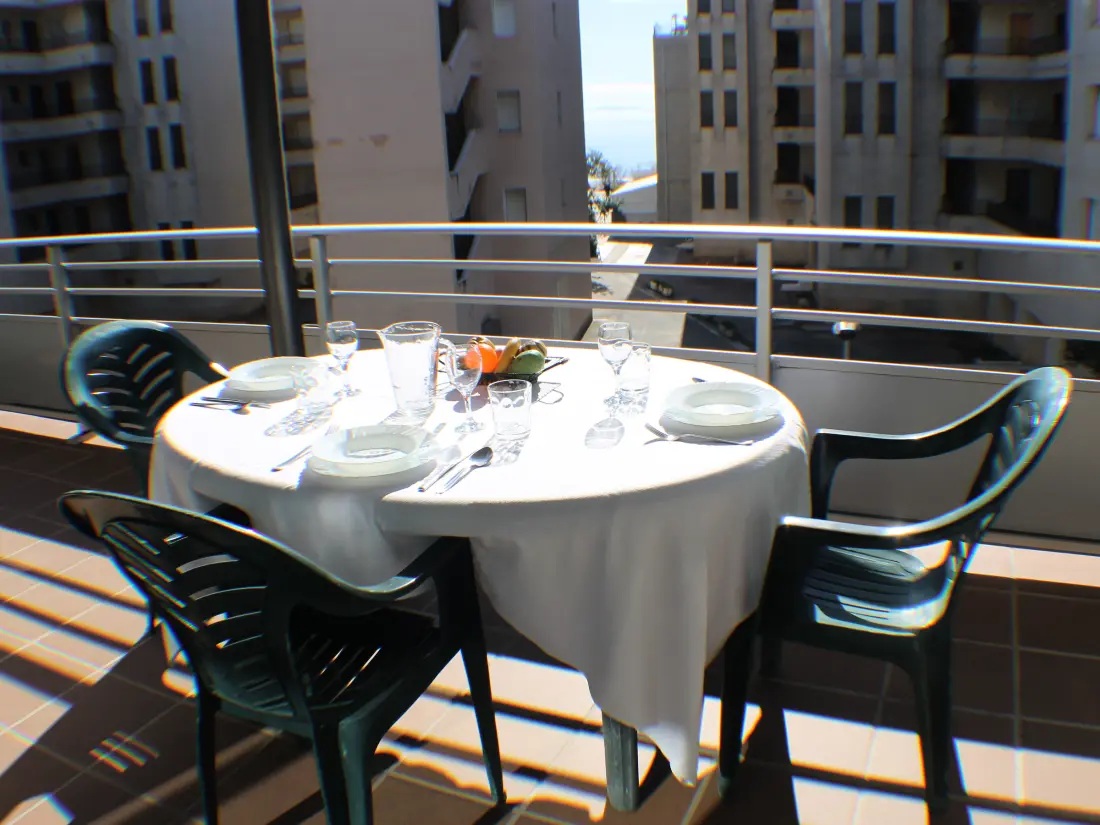 Location de Vacances Roses 704