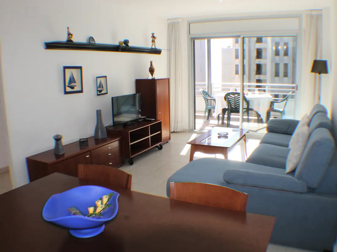 Location de Vacances Roses 704