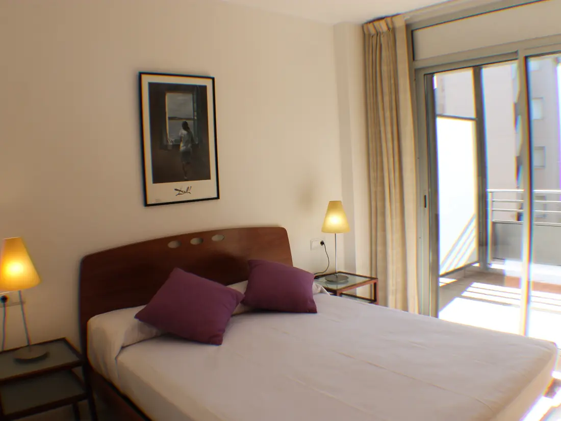Location de Vacances Roses 704