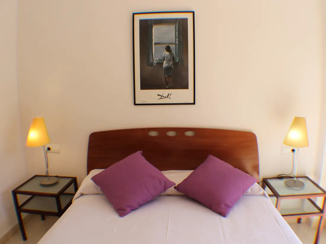 Location de Vacances Roses 704