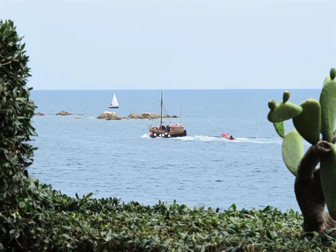Location de Vacances Roses 704