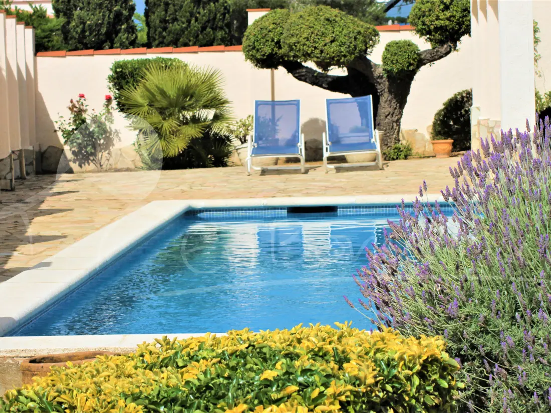 Maison de Vacances Roses 911