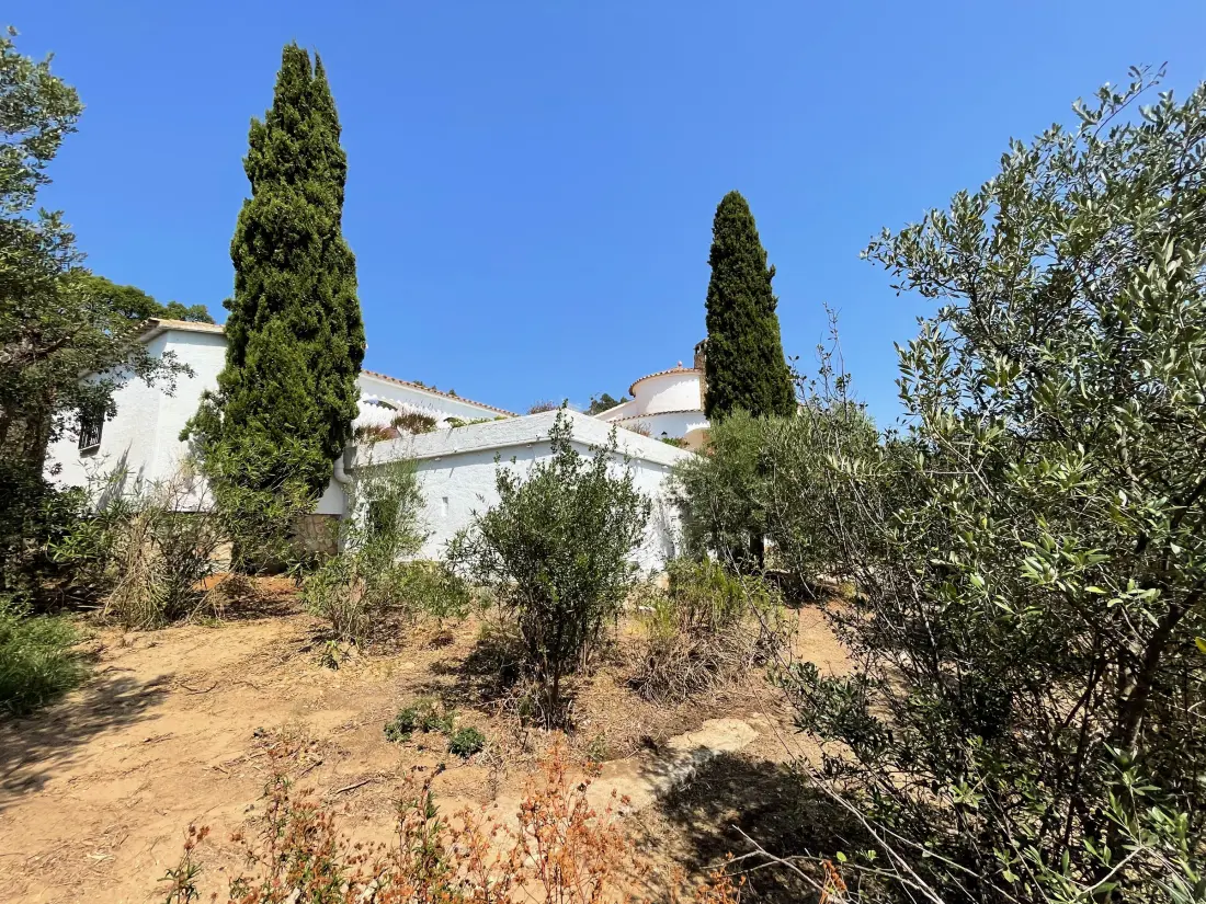 Maison de Vacances Roses 979