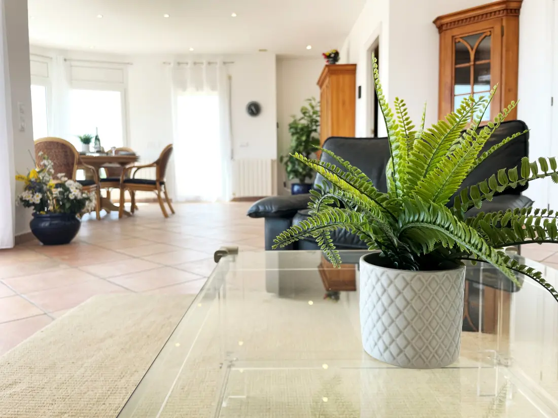 Maison de Vacances Roses 992