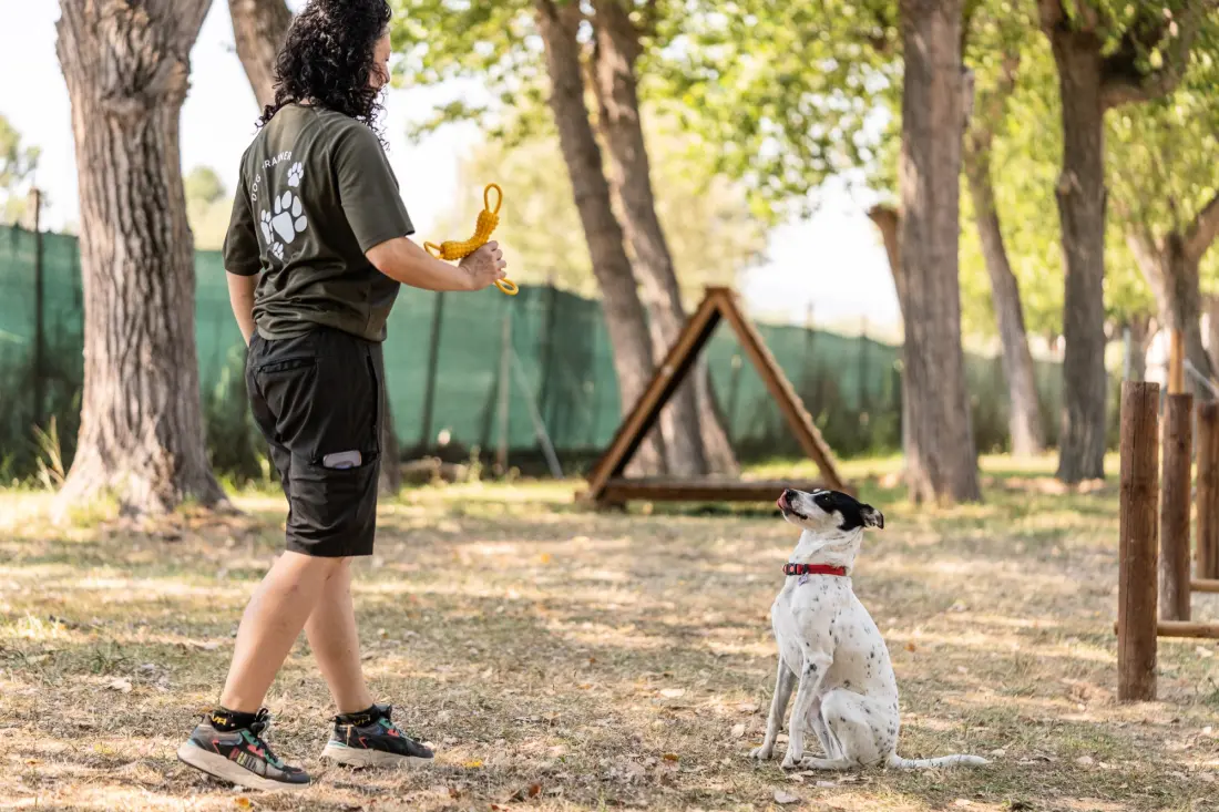 Club del Sole Roseto degli Abruzzi Easy Camping Village  3 étoiles★★★