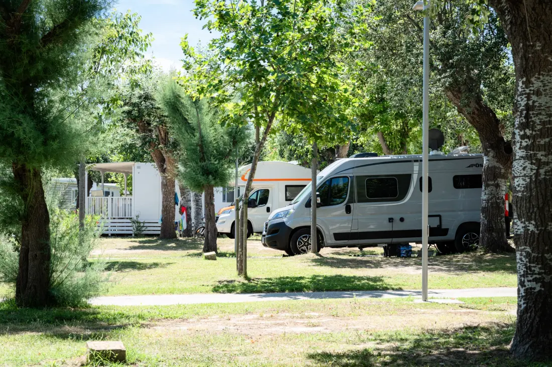 Club del Sole Stork Family Collection 4 étoiles★★★★