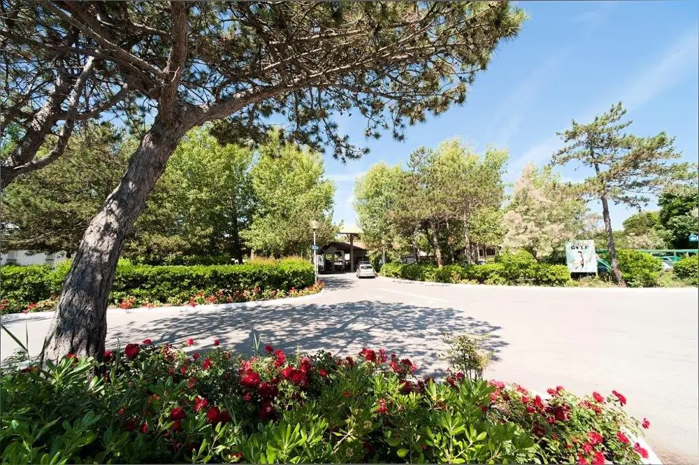Camping Rosapineta