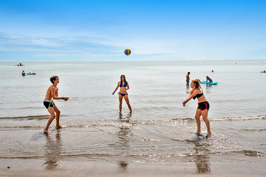 Camping Rosapineta