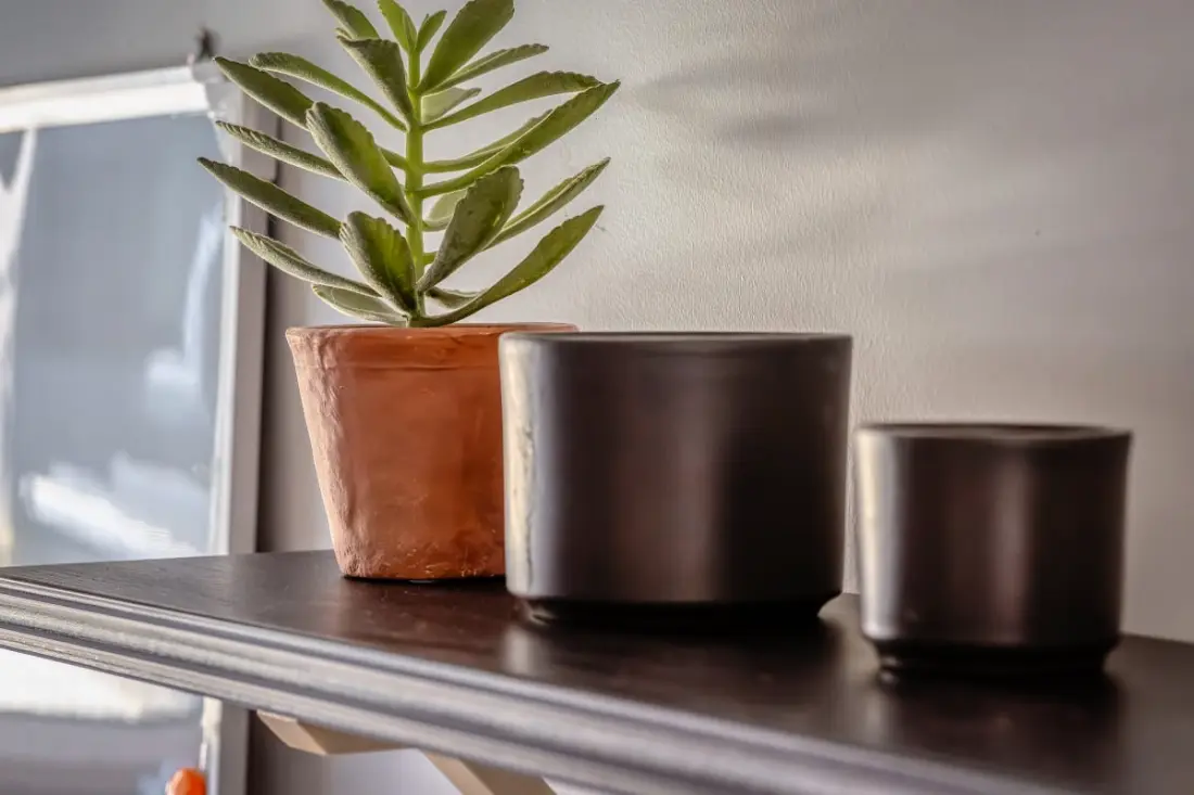 Archiduck, Votre Appartement Maison Terrasse Parking