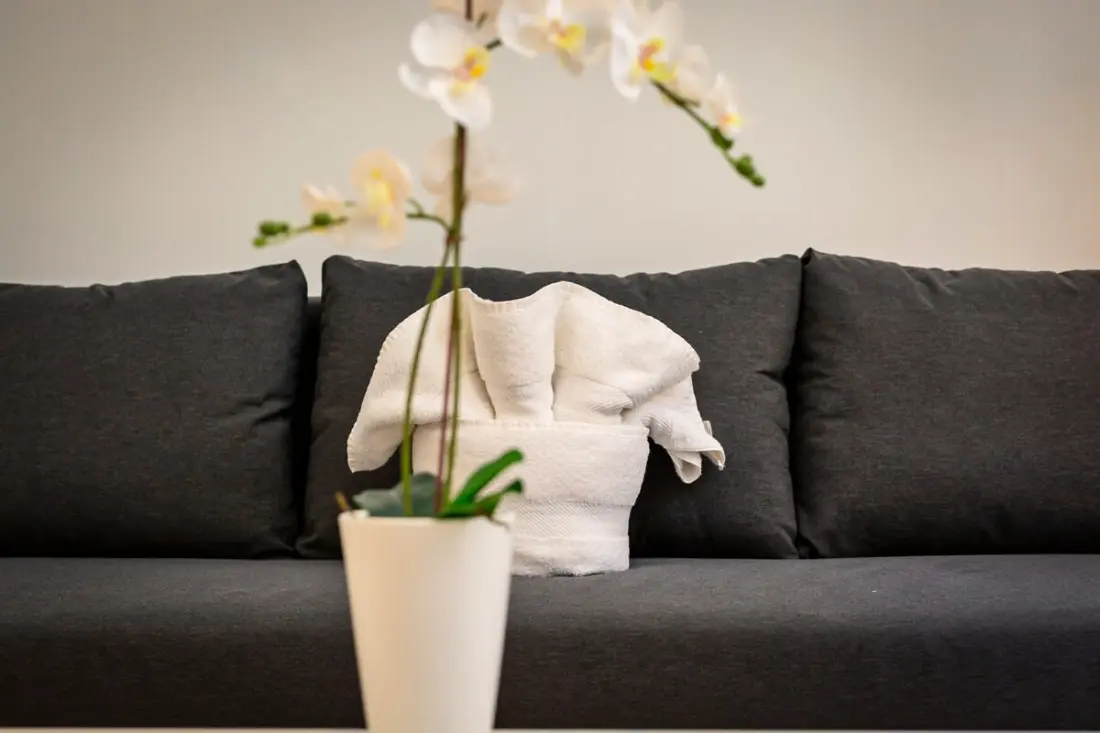 Christophe : Studio Rouen Centre