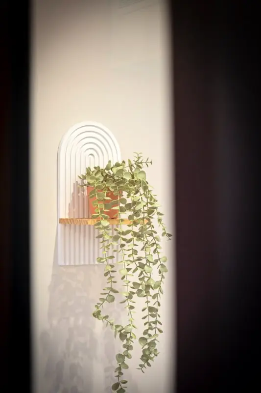 La Love-room D'alice, Balnéo Et Vidéo-projecteur !