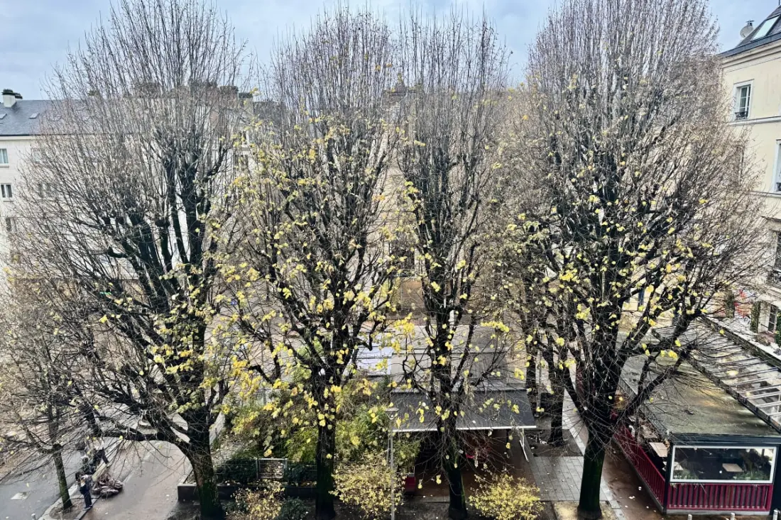 Le Lauroise, Magnifique F2 Place Des Carmes