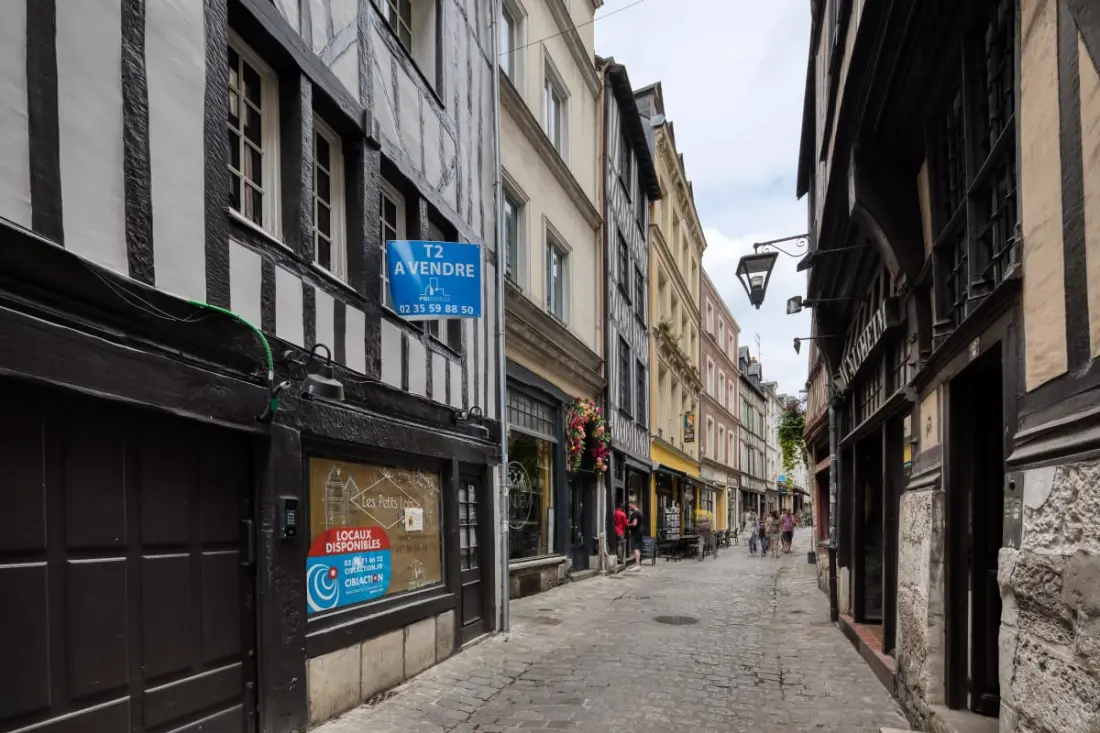 Terra Bella - Joli Appartement Rénové Vue Sur L'Église Saint Maclou