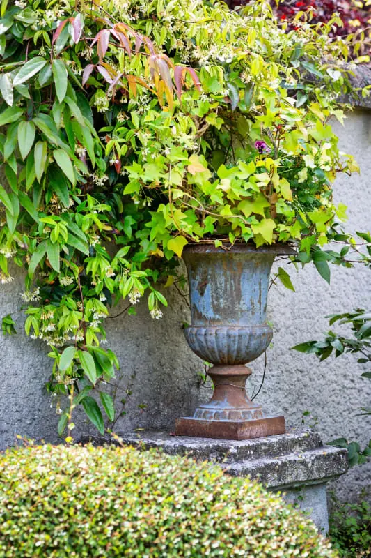 Rafael F2 Bourgeois Avec Jardin
