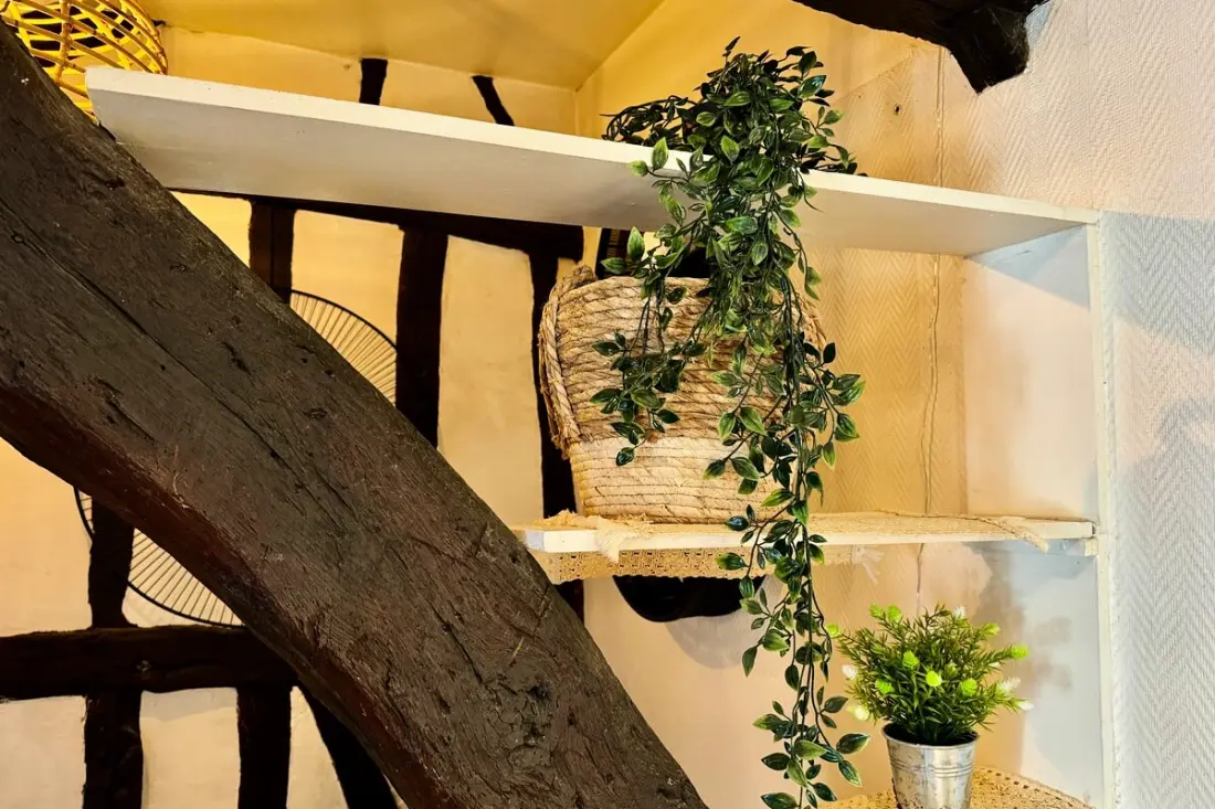 Vera : Studio Confortable Sous Les Combles !
