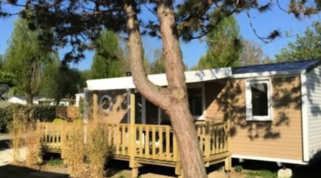 Camping Paradis Les Pins Royan 4 étoiles★★★★
