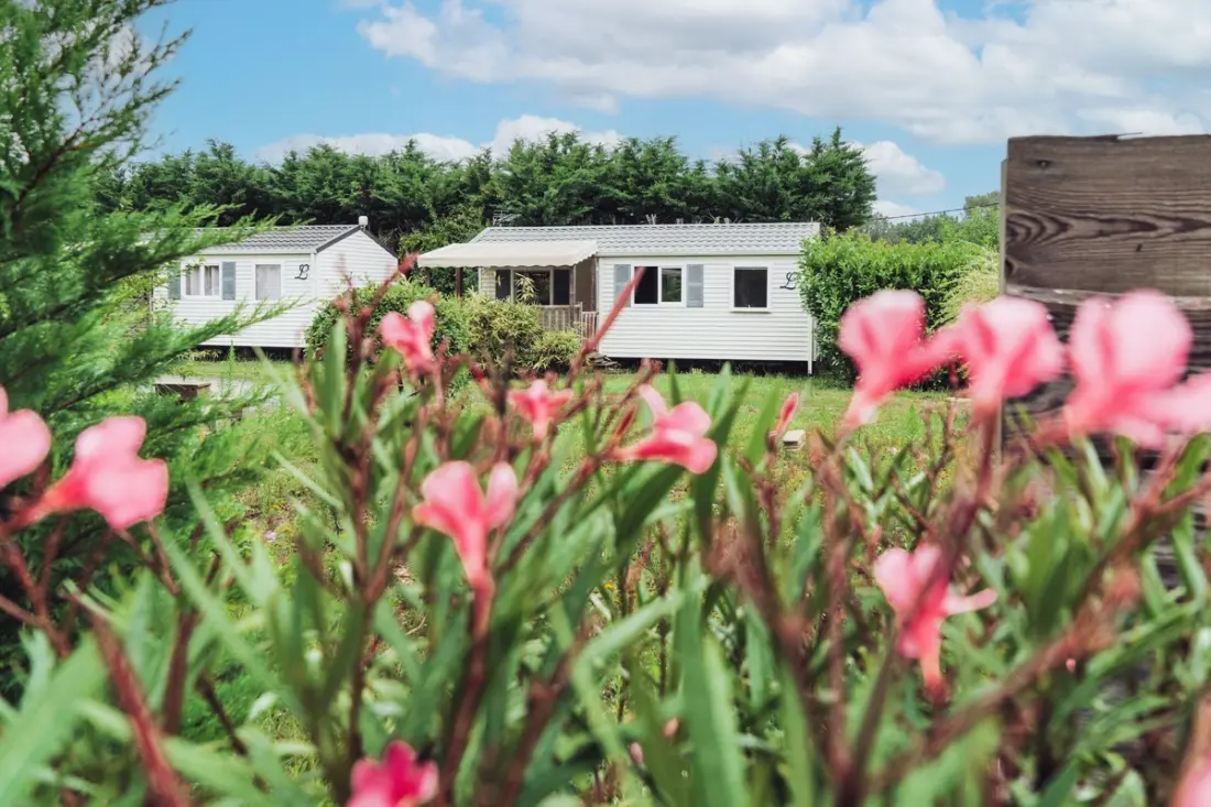 Camping Paradis Les Pins Royan 4 étoiles★★★★