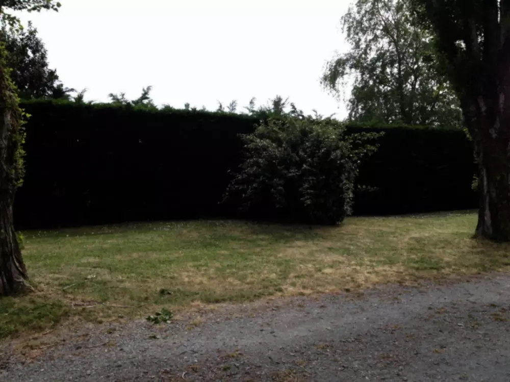 Camping Paradis Les Pins Royan 41 étoiles★