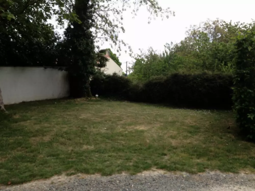 Camping Paradis Les Pins Royan 41 étoiles★