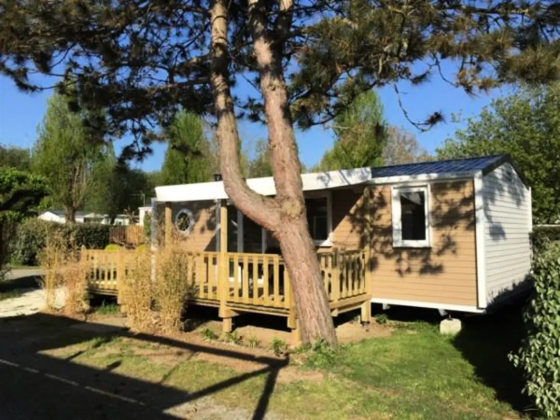 Camping Paradis Les Pins Royan 4 étoiles★★★★
