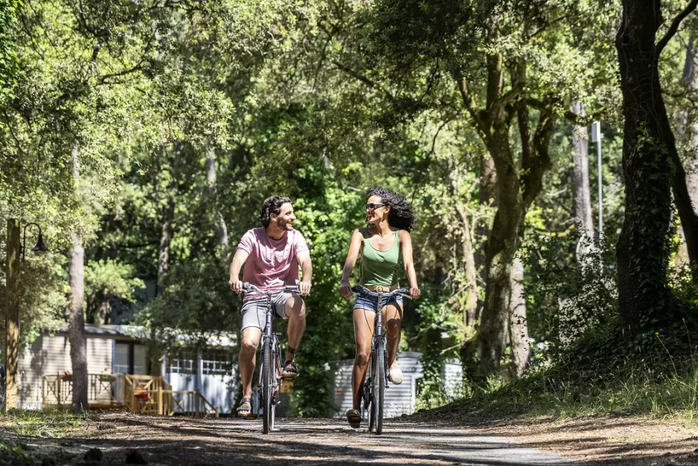 Camping Village Le Logis 41 étoiles★