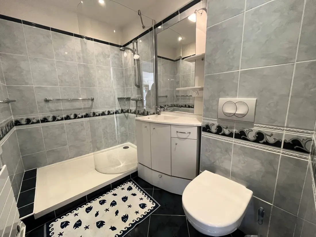 Location de Vacances Saint-Palais-sur-Mer 339