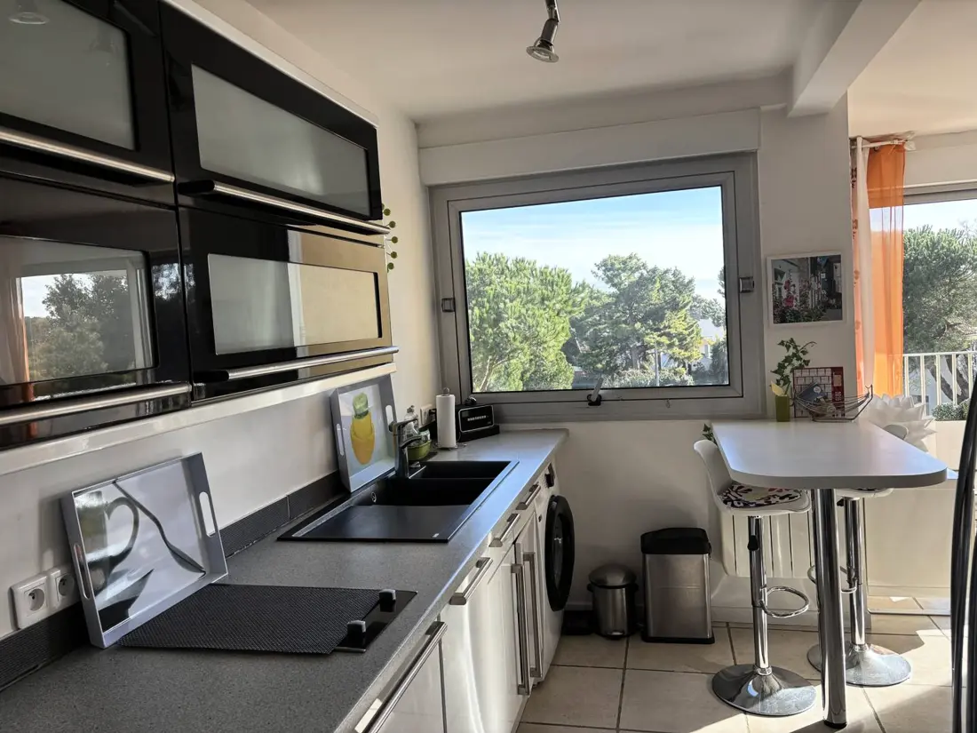 Location de Vacances Saint-Palais-sur-Mer 343